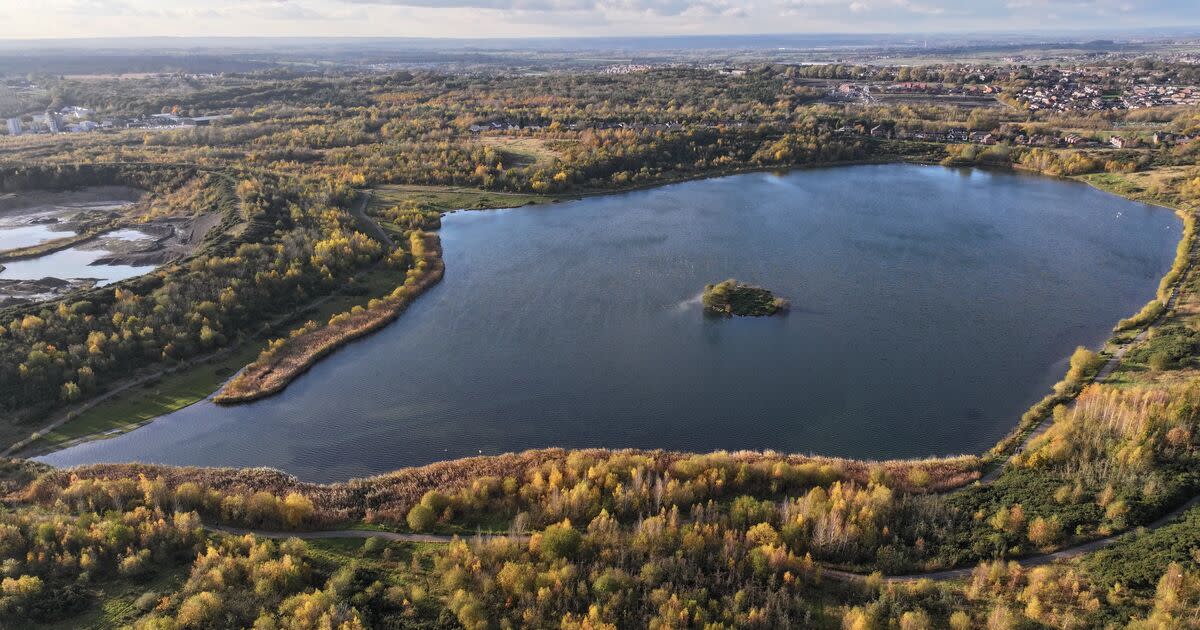 New Forest Plan Raises Questions Over Threats to FFA