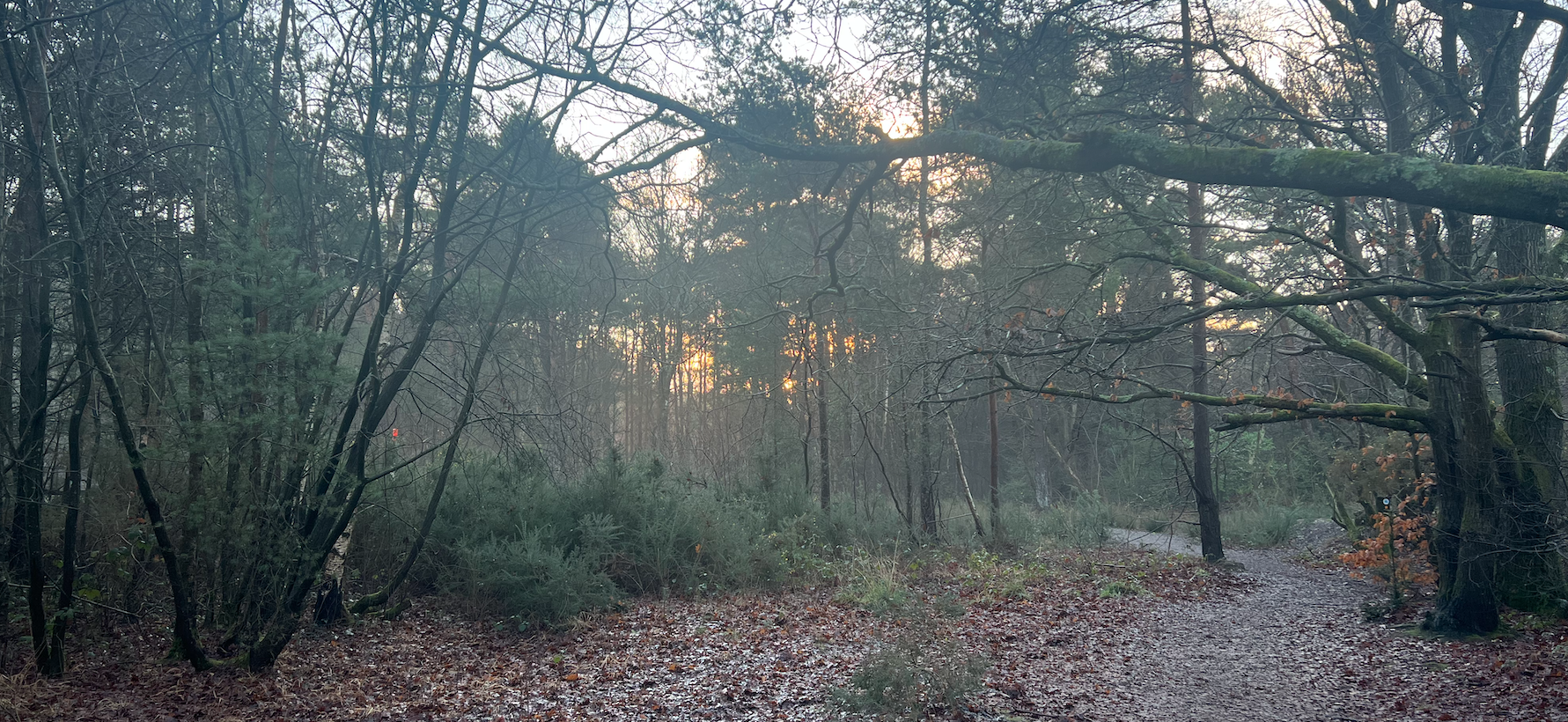 January 2026 Community Walk