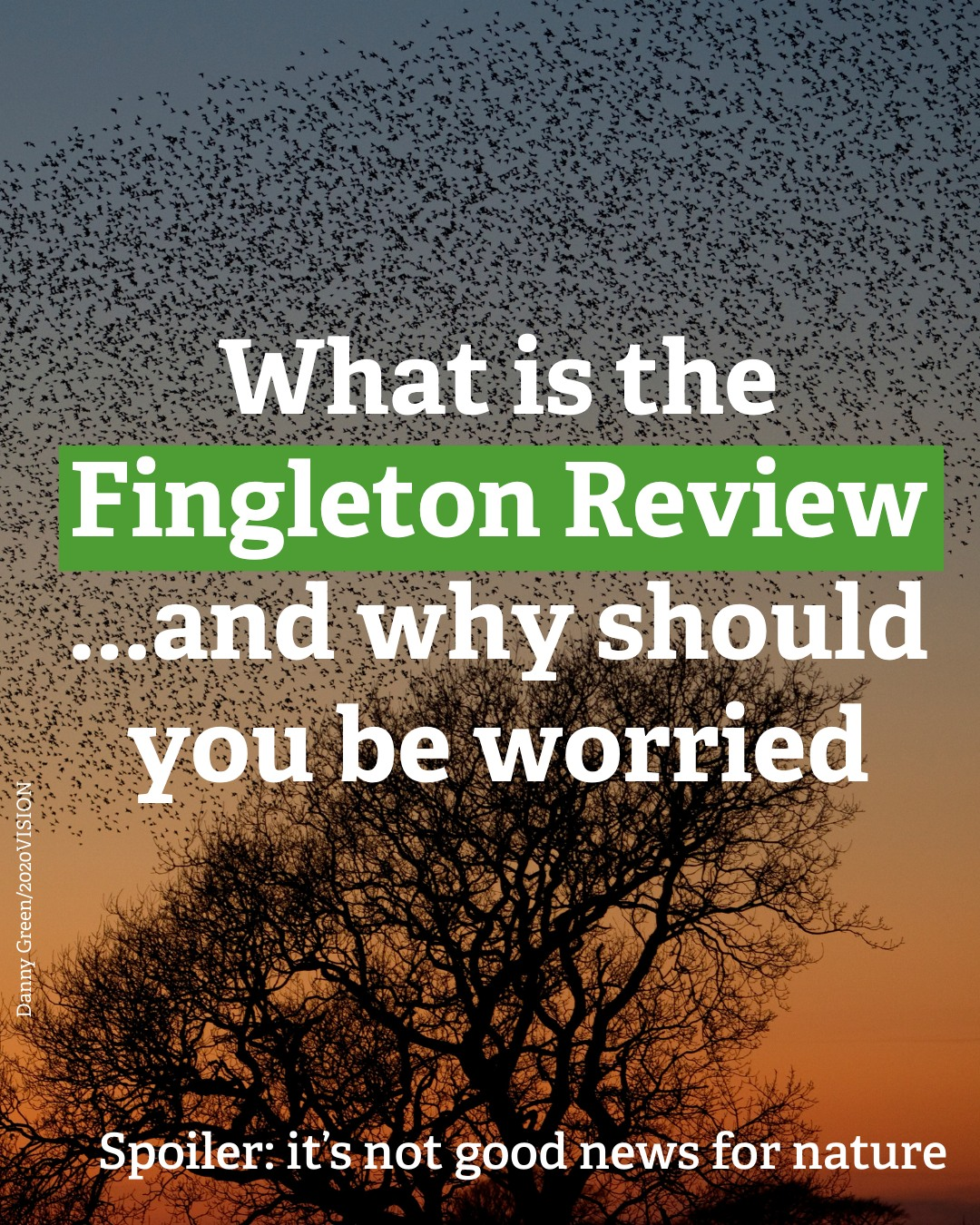 Why the Fingleton Review Matters for Frimley Fuel Allotments