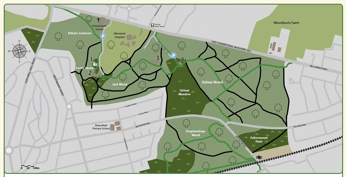 Not Inevitable: The UK Woodland Campaigns That Faced Development and Won Permanent Protection