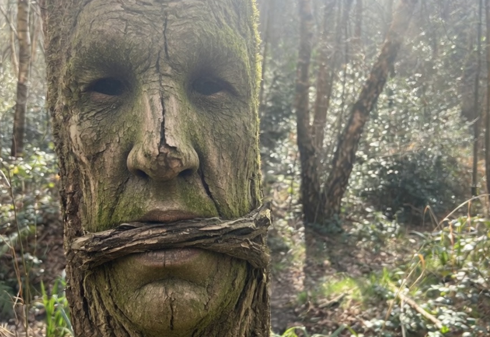 Frimley Campaigners Rally as Petition to Protect Fuel Allotments Reaches 8,000 Signatures