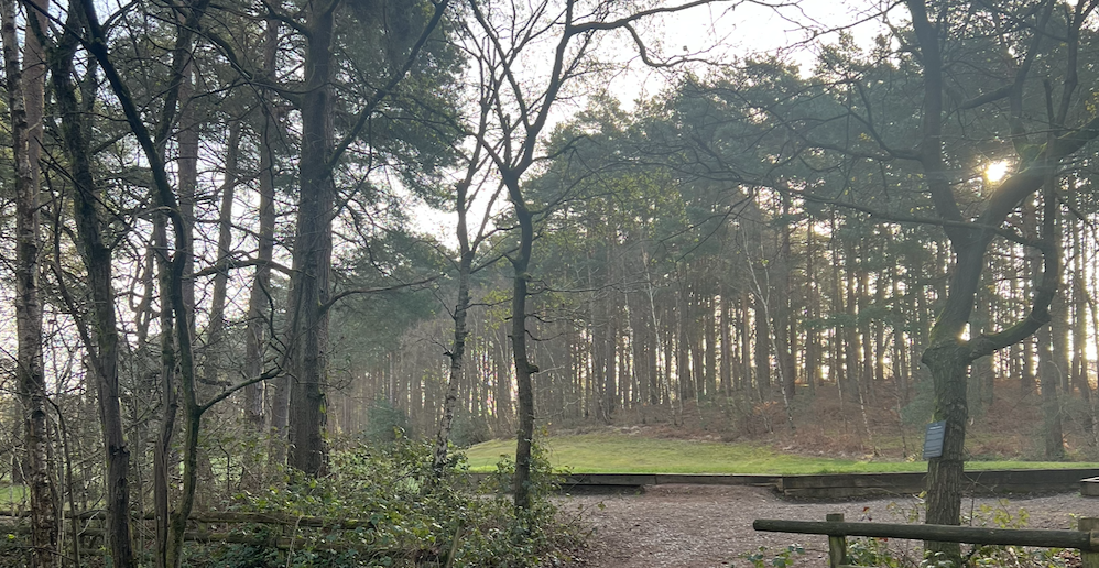 8,000 Voices and Counting but the Fight Is Not Over